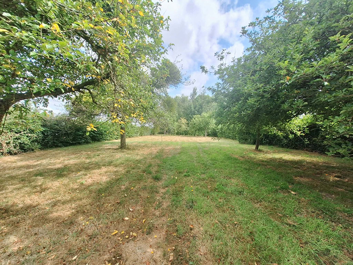 Maison VIRONCHAUX (80150) 3 pi&egrave;ces 96.00 m&sup2;
