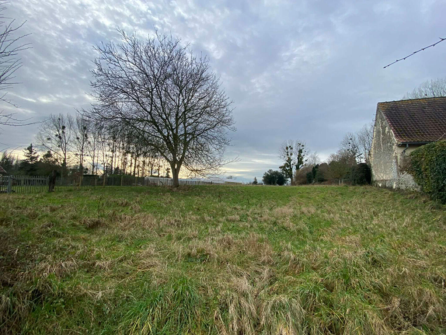 Terrain ARGOULES (80120) 2934.00 m&sup2;