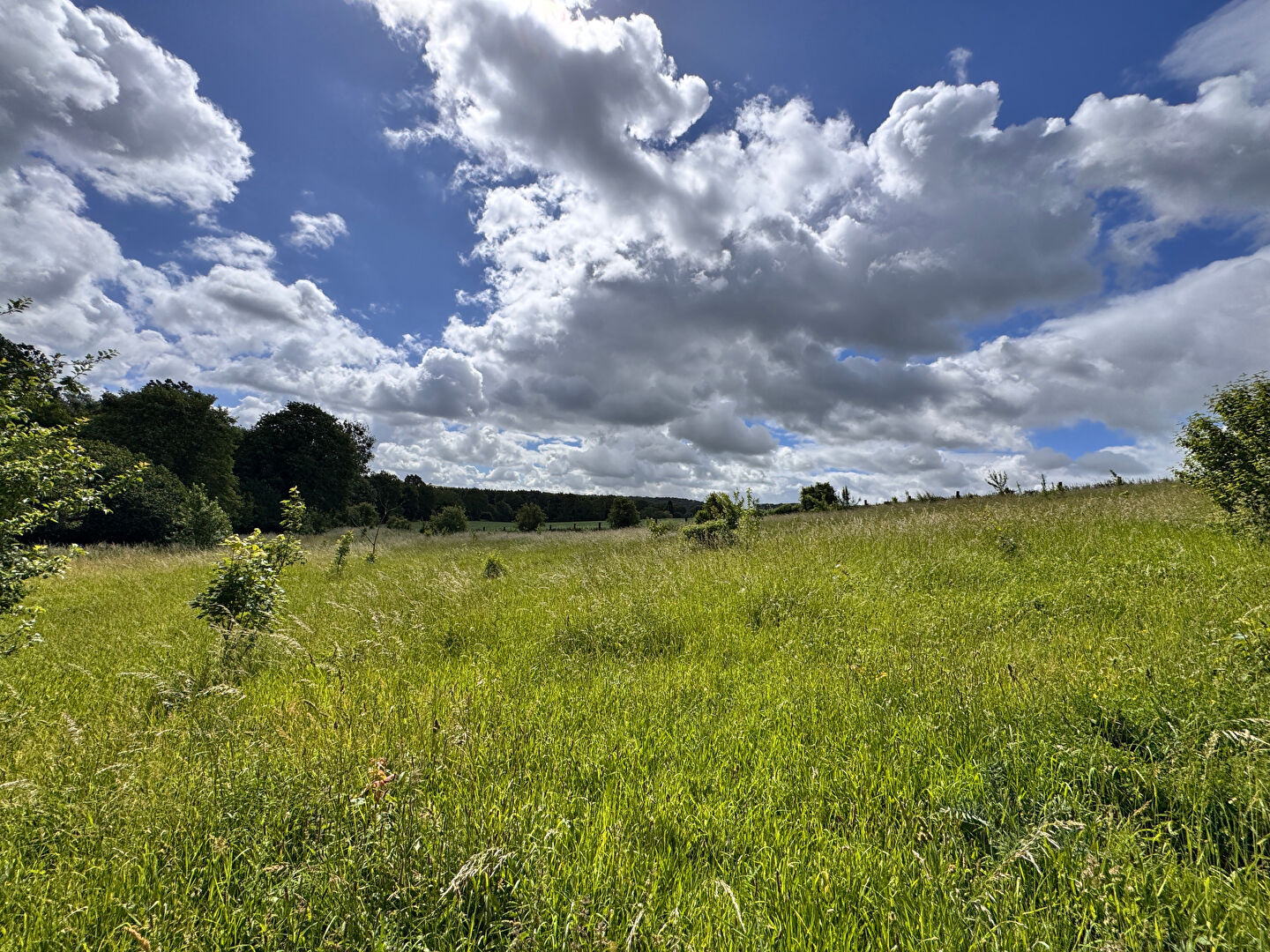 Terrain CHAUSSOY EPAGNY (80250) 24666.00 m&sup2;