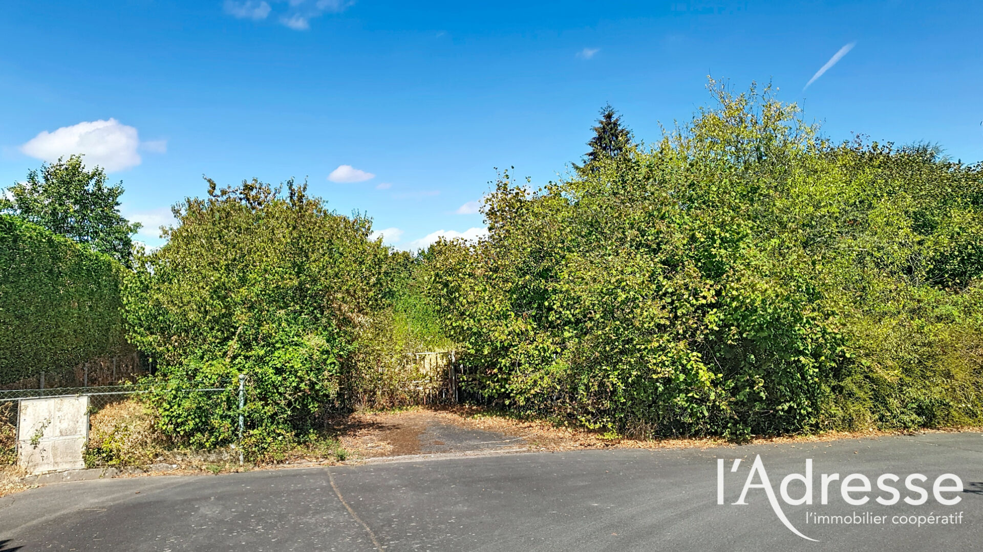 Terrain saint AVERTIN (37550) 566.00 m&sup2;