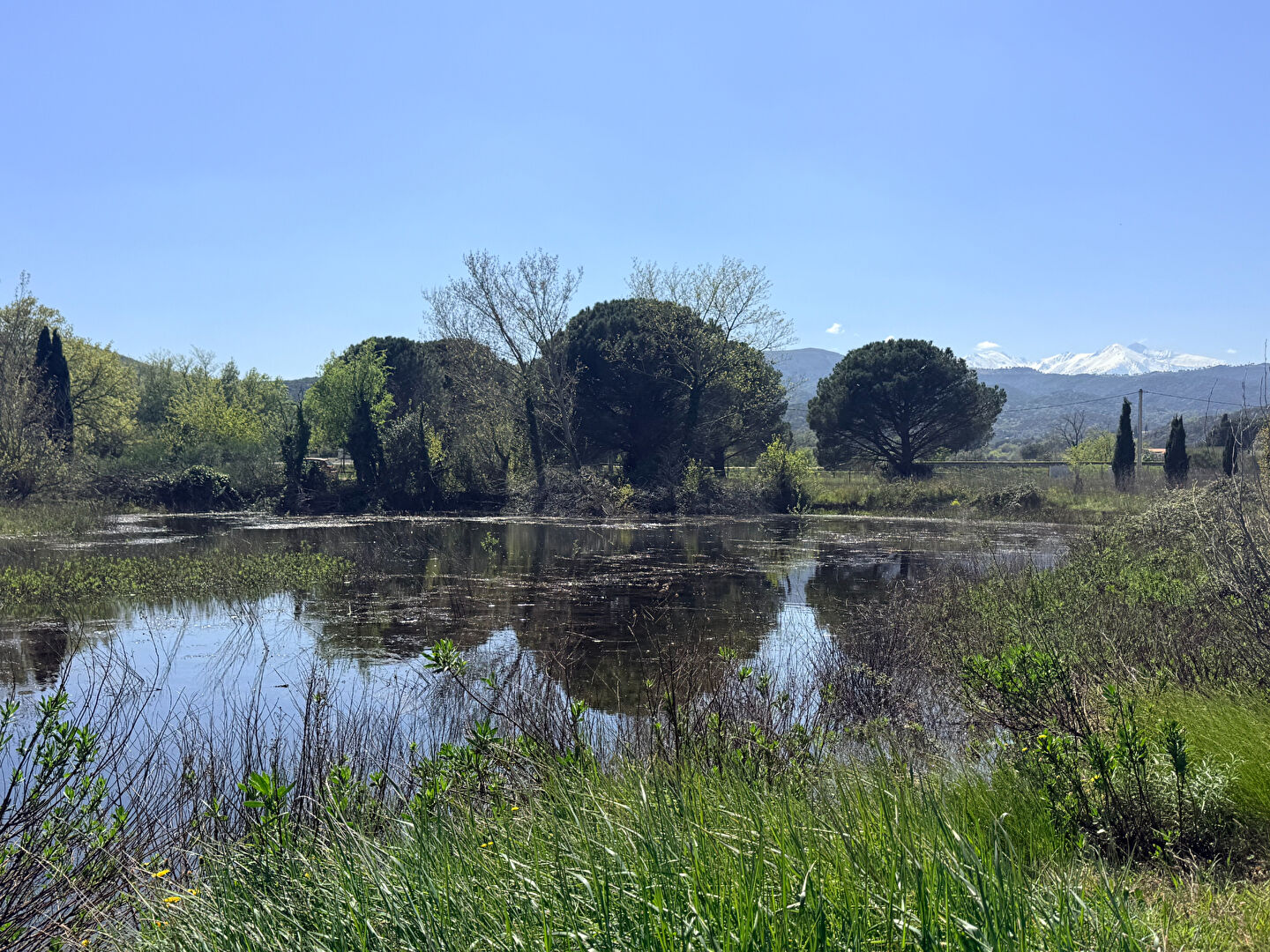 Domaine agricole castelnou (66300)