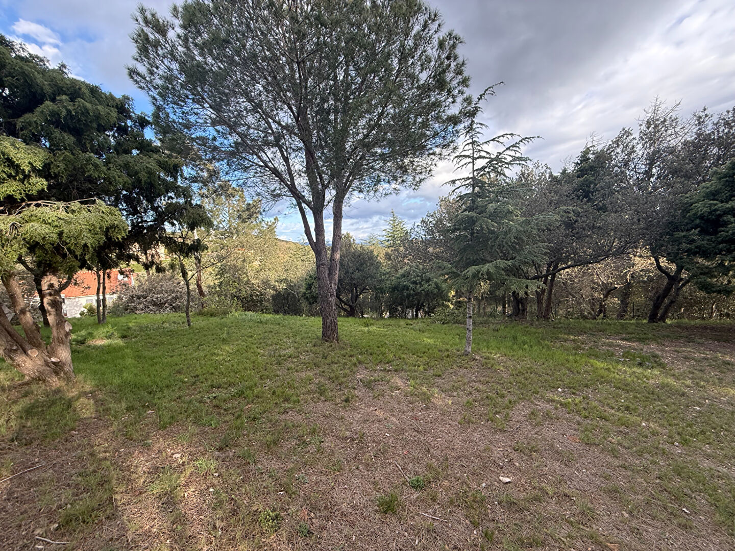 Terrain CAMELAS (66300) 1579.00 m&sup2;