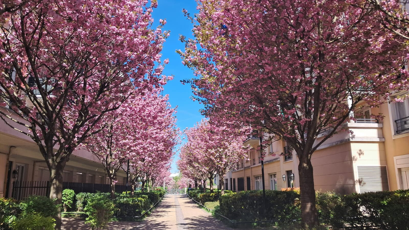 Appartement VILLENEUVE LA GARENNE (92390) 3 pi&egrave;ces 70.05 m&sup2;