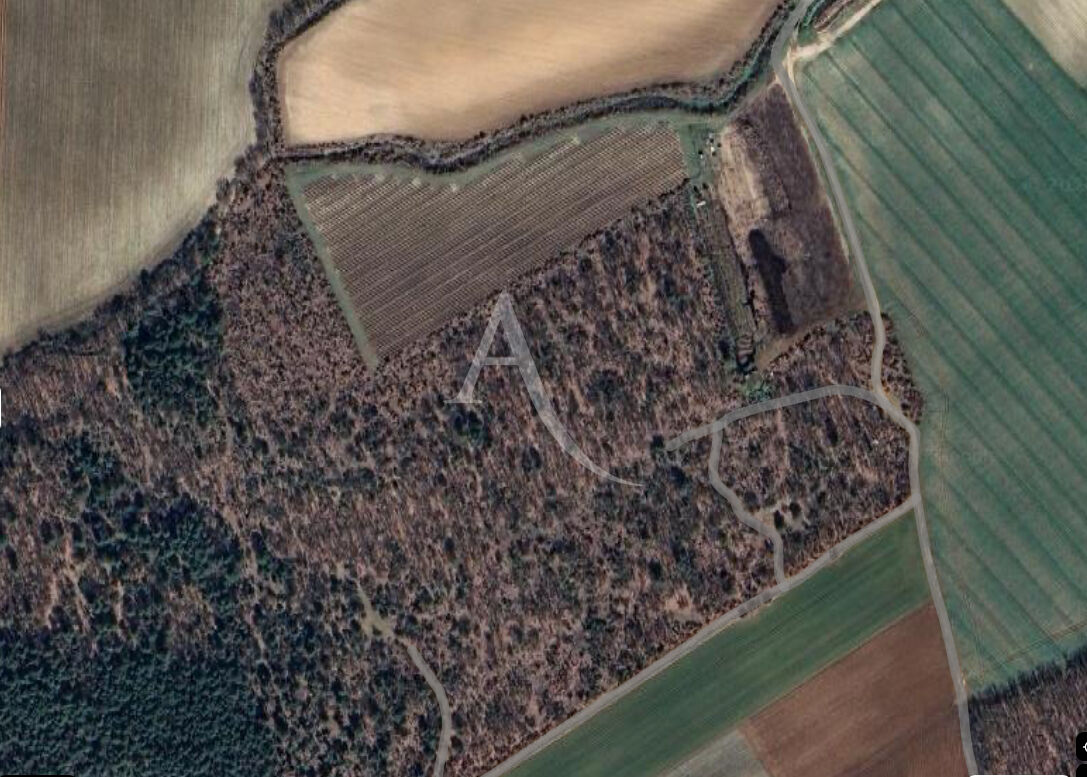 Terrain ROUMOULES (04500) 37641.00 m&sup2;