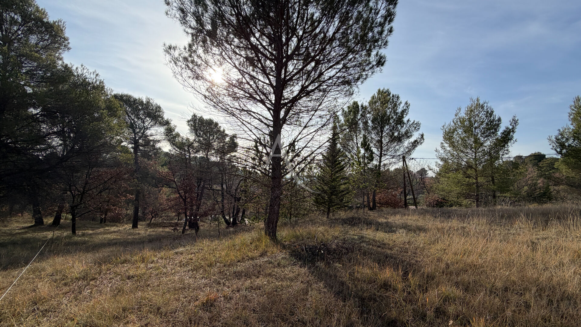 Terrain PIERREVERT (04860) 1300.00 m&sup2;