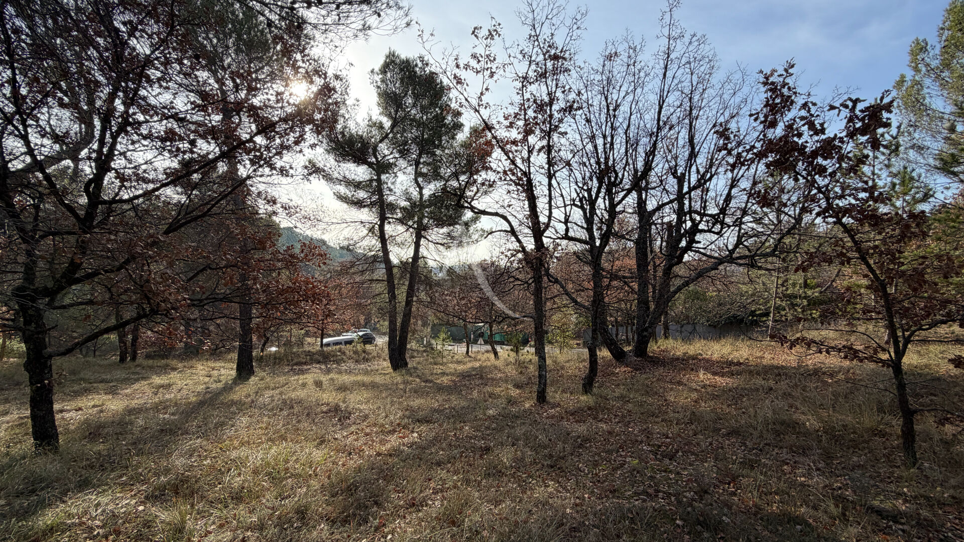 Terrain PIERREVERT (04860) 1300.00 m&sup2;