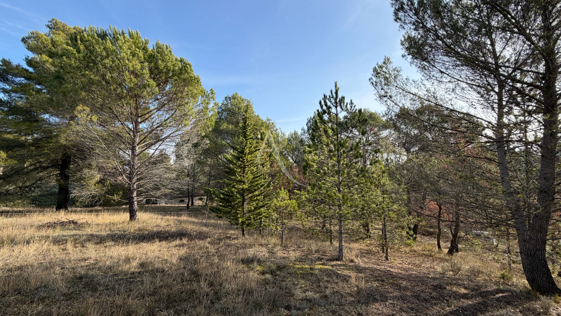 Terrain PIERREVERT (04860) 1300.00 m&sup2;
