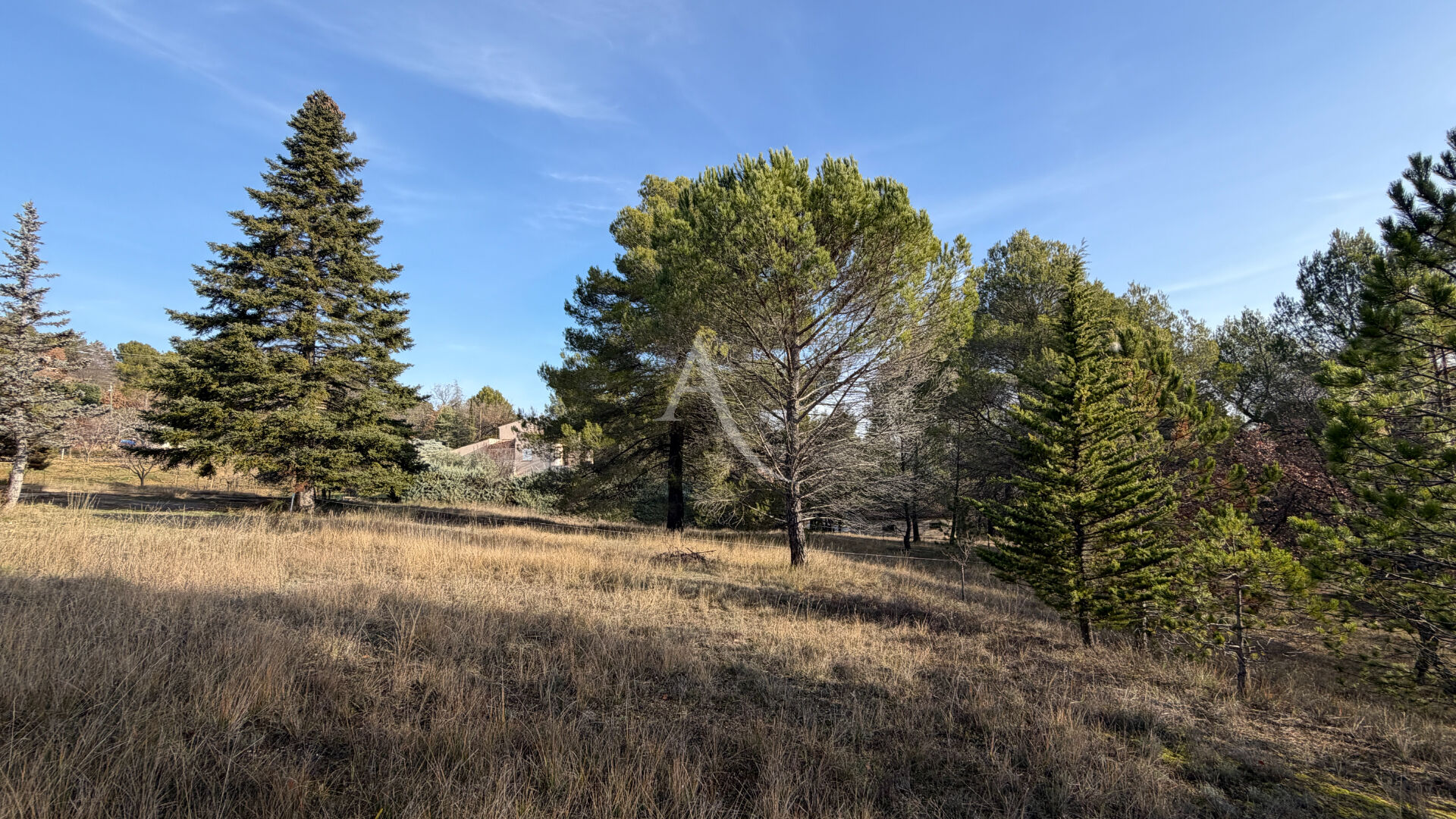 Terrain PIERREVERT (04860) 1300.00 m&sup2;