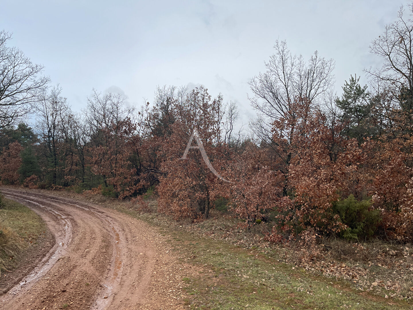 Terrain ROUMOULES (04500) 37641.00 m&sup2;