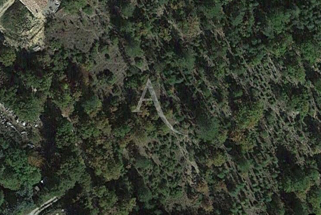 Terrain ROUMOULES (04500) 8840.00 m&sup2;