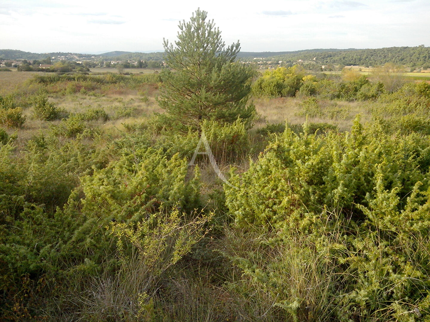 Terrain SAINT JULIEN (83560) 3393.00 m&sup2;