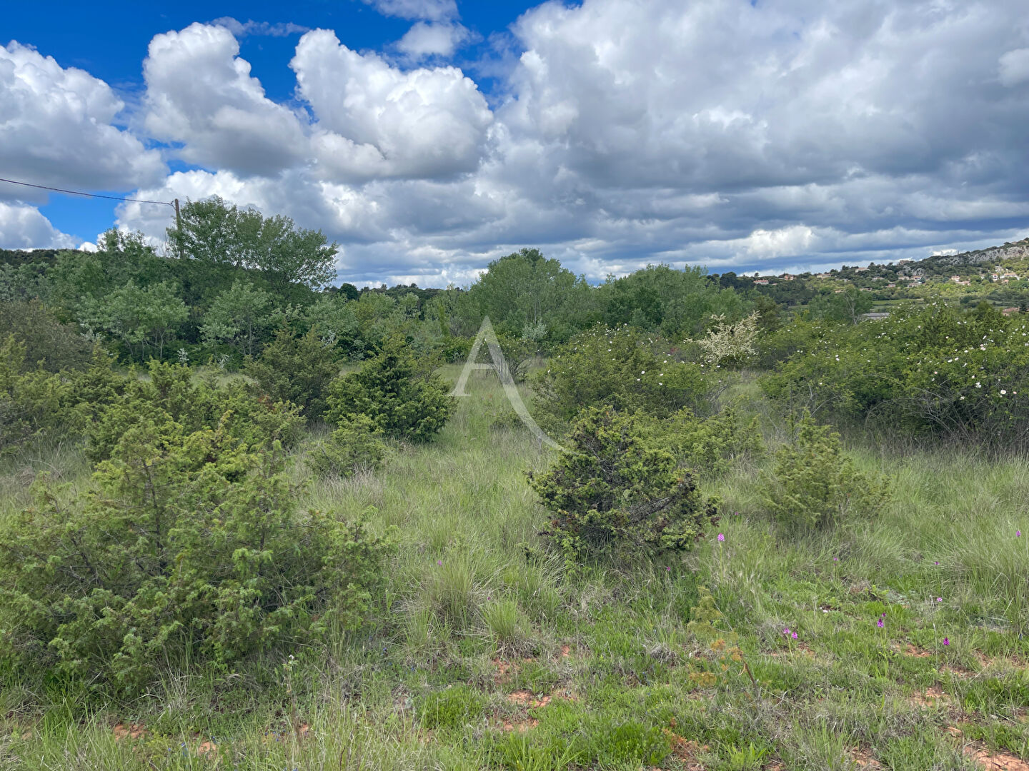 Terrain SAINT JULIEN (83560) 3393.00 m&sup2;