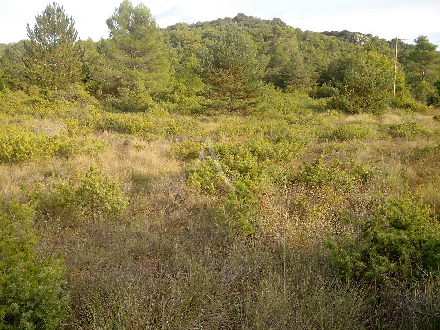 Terrain SAINT JULIEN (83560) 3194.00 m&sup2;