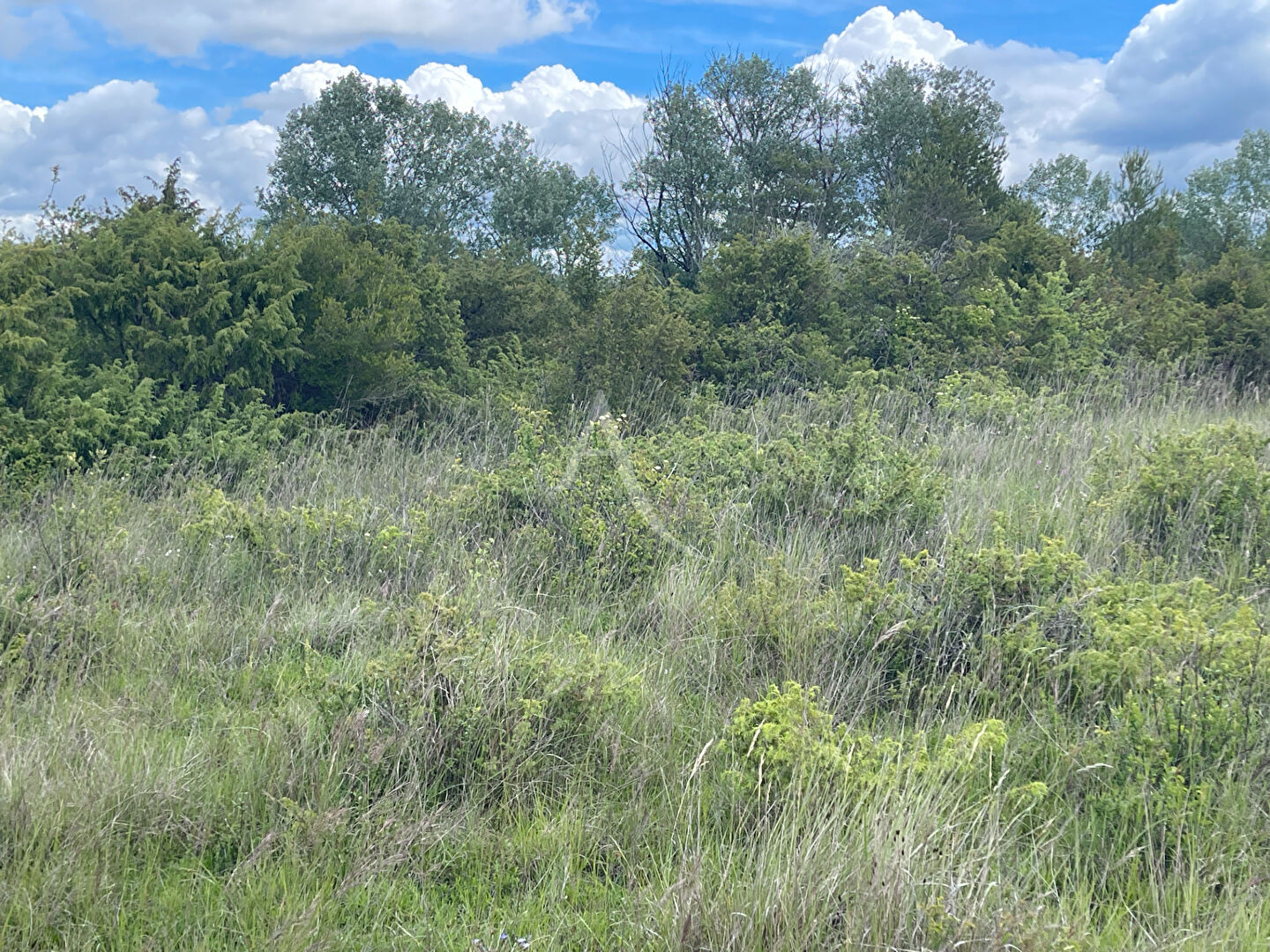 Terrain SAINT JULIEN (83560) 2823.00 m&sup2;
