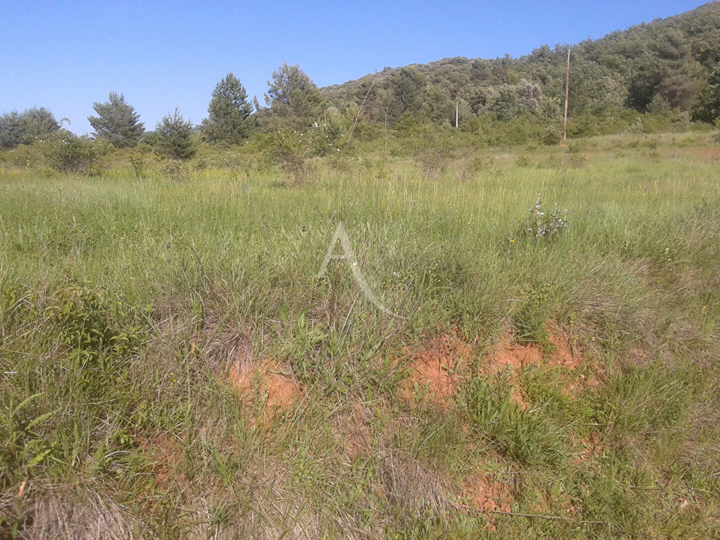 Terrain SAINT JULIEN (83560) 4388.00 m&sup2;