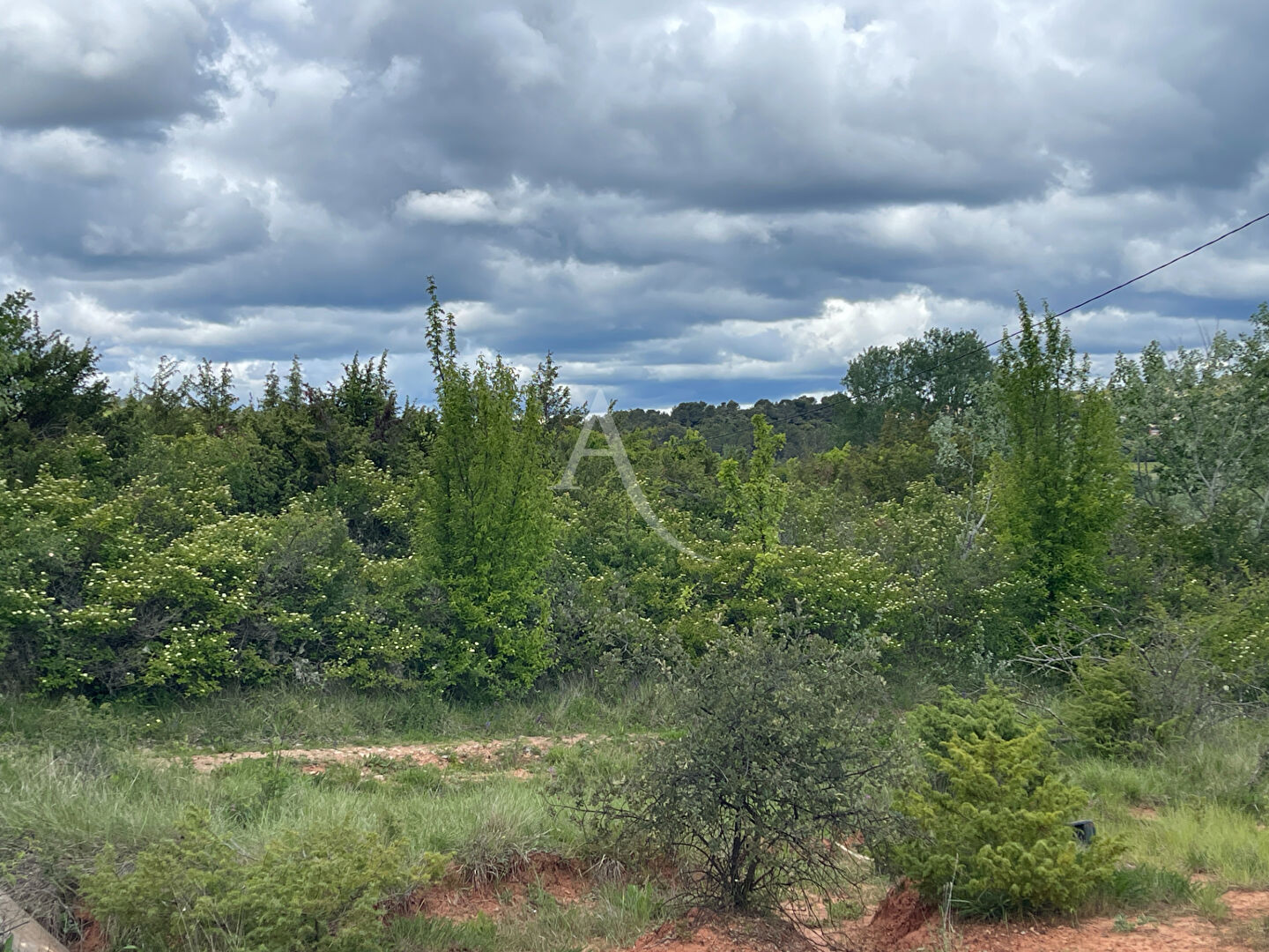 Terrain SAINT JULIEN (83560) 4388.00 m&sup2;