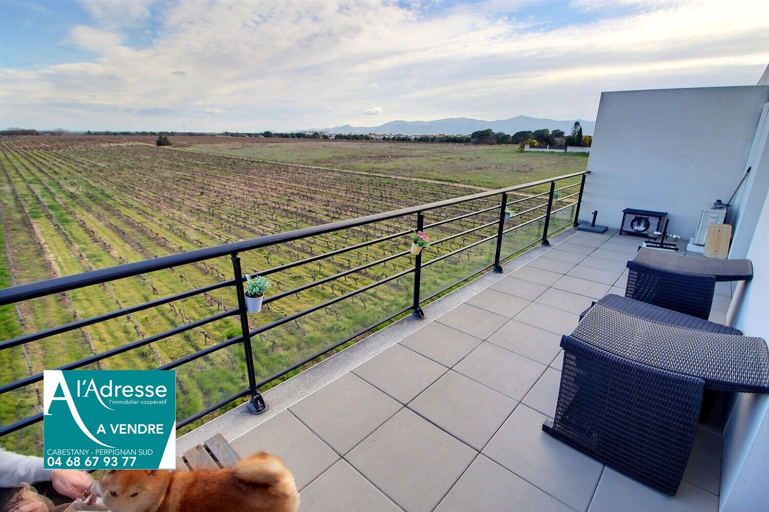 Appartement PERPIGNAN (66000) 3 pi&egrave;ces 56.00 m&sup2;