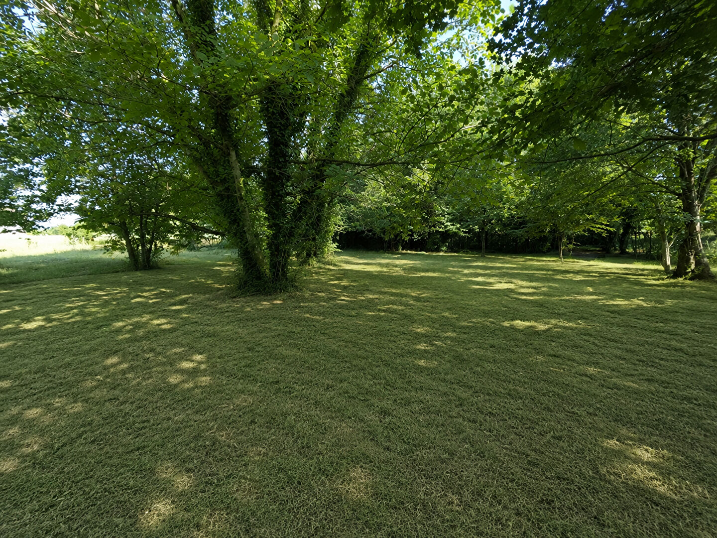 Terrain FONGRAVE (47260) 2870.00 m&sup2;