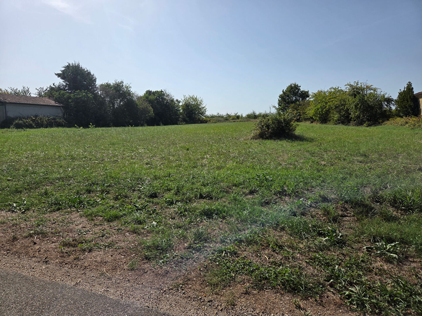 Terrain PUYMICLAN (47350) 2006.00 m&sup2;