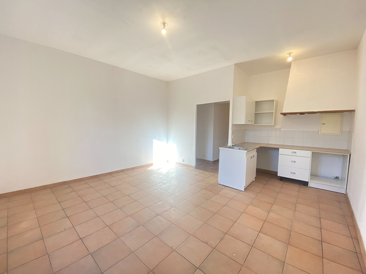 Appartement LEZIGNAN CORBIERES (11200) 2 pièces 51.76 m²