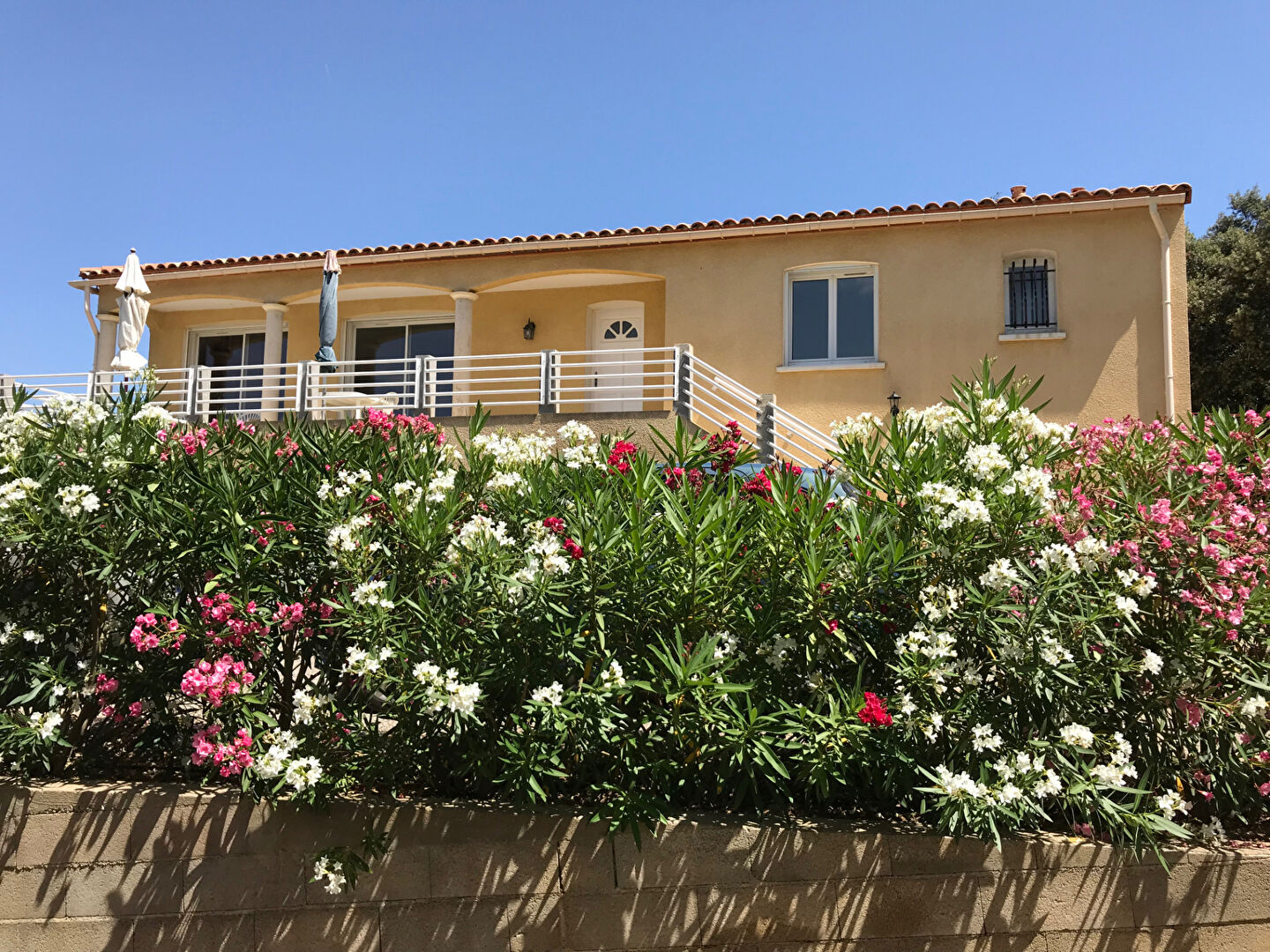 Maison SAINT ANDRE DE ROQUELONGUE (11200) 5 pièces 127.39 m²