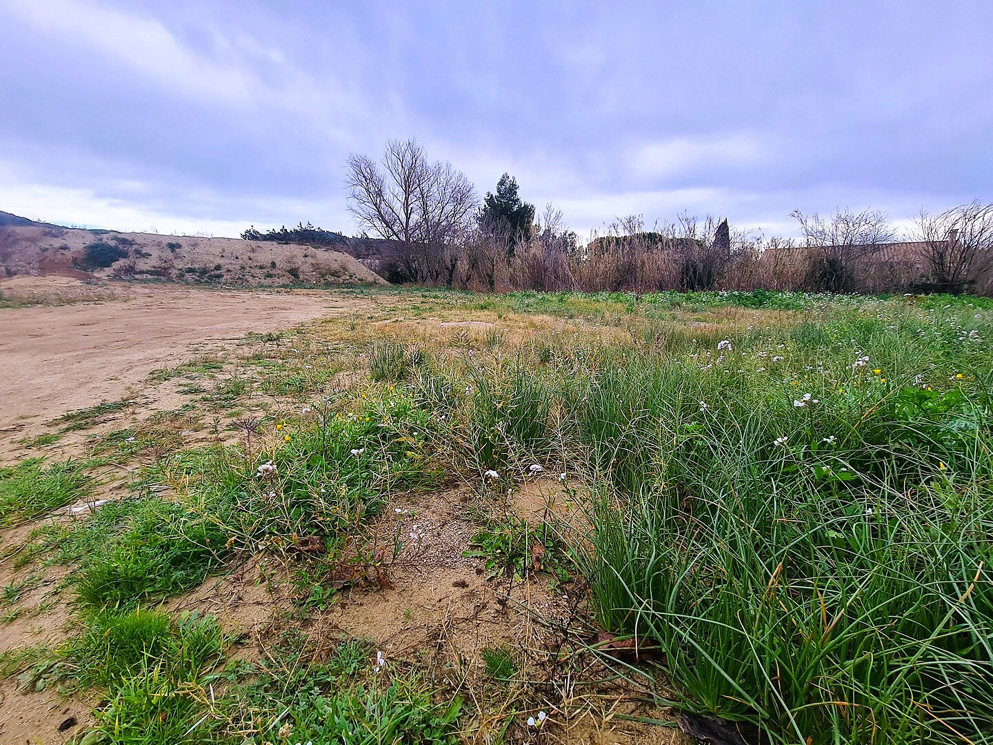 Terrain VINASSAN (11110) 1632.00 m²