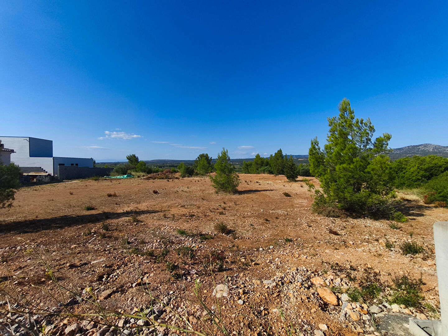 Terrain LA PALME (11480) 1178.00 m²