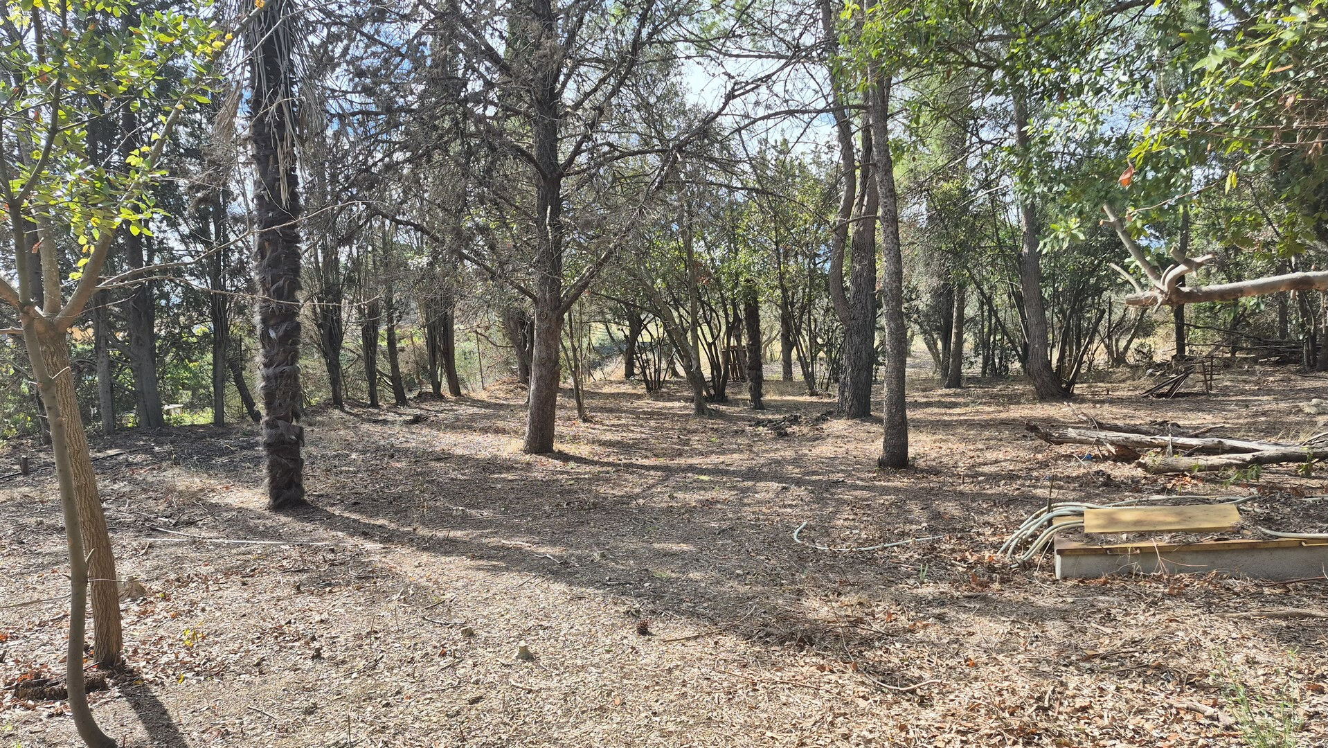 Terrain OUVEILLAN (11590) 737.00 m&sup2;