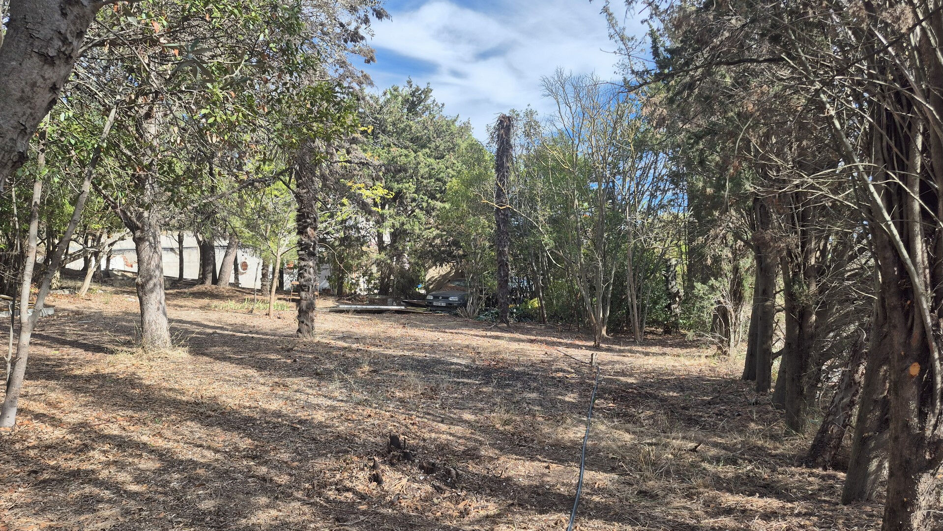 Terrain OUVEILLAN (11590) 772.00 m²