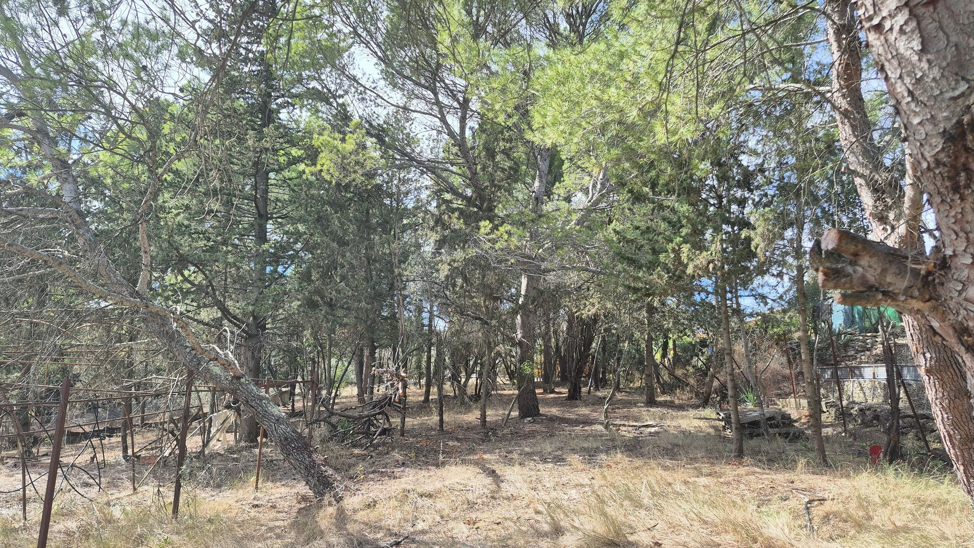 Terrain OUVEILLAN (11590) 449.00 m²