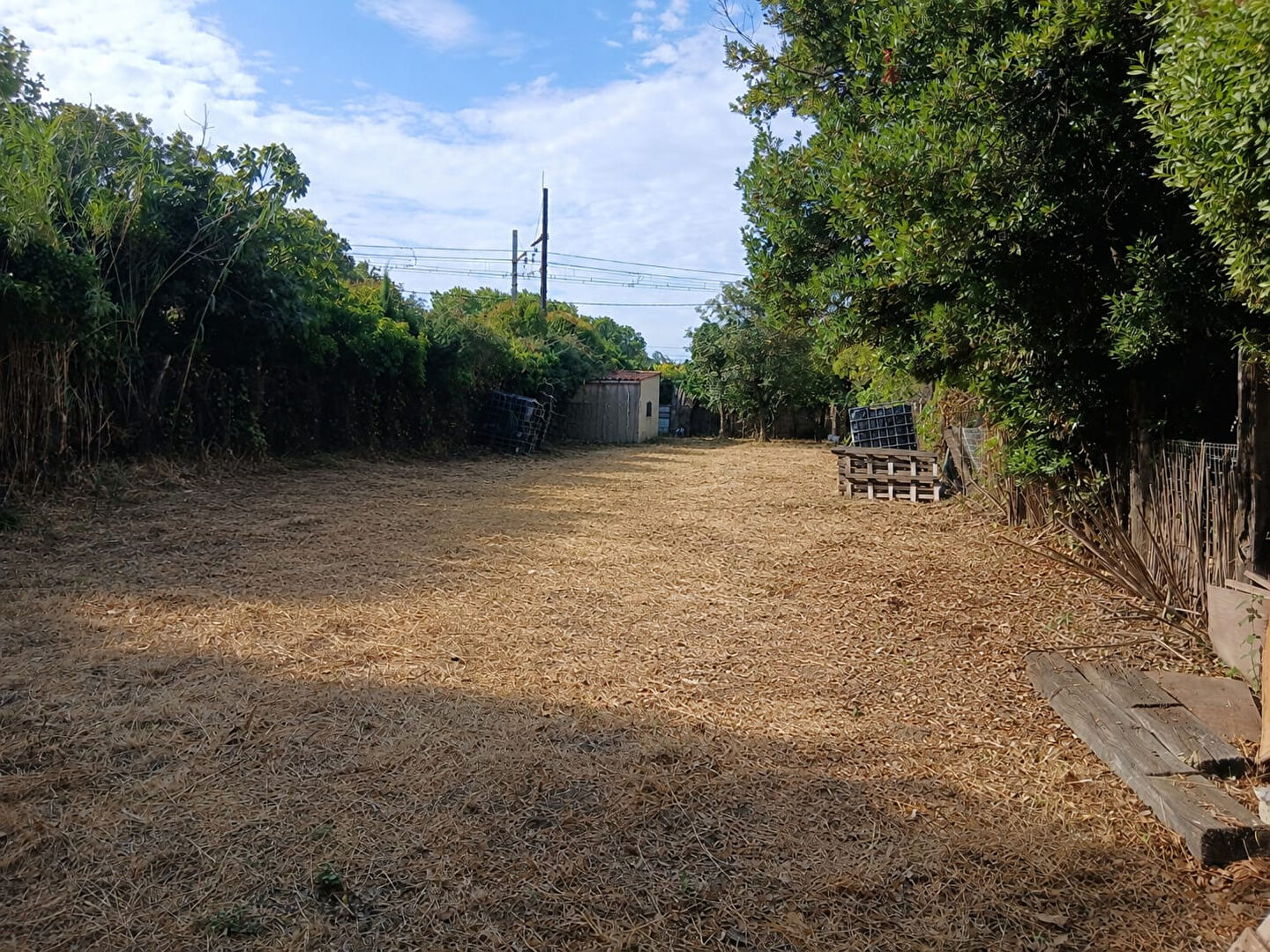 Terrain NEVIAN (11200) 695.00 m&sup2;
