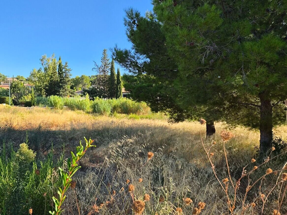Terrain BIZE MINERVOIS (11120) 1083.00 m&sup2;