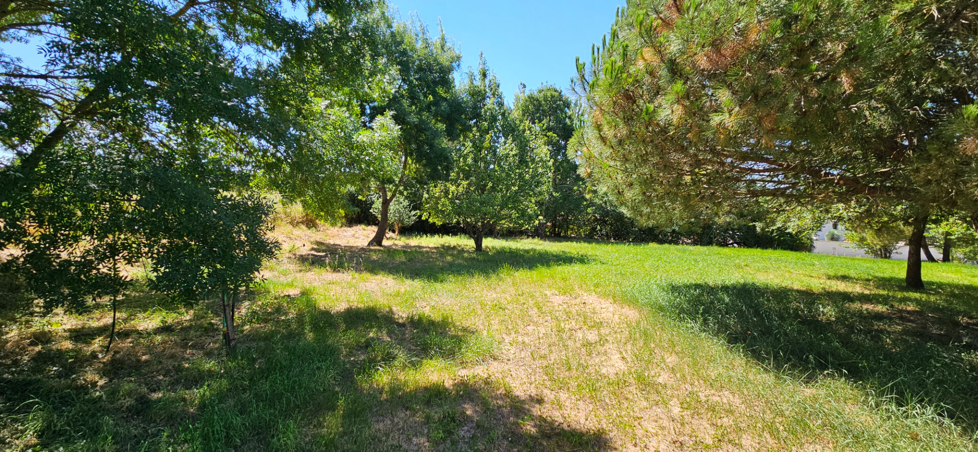 Terrain CASTELMAUROU (31180) 1465.00 m²