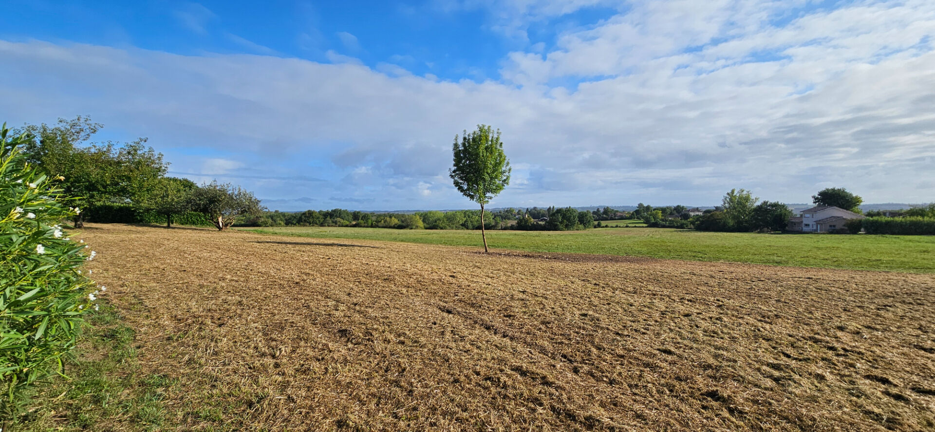 Terrain CASTELMAUROU (31180) 1400.00 m²