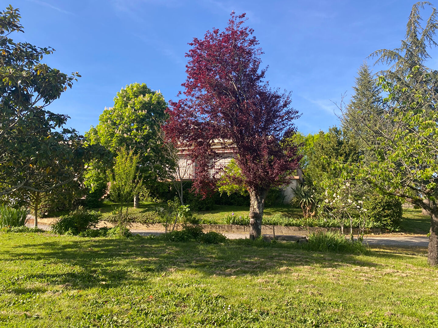 Maison 6 pièces, 182.00m², Montrabé — 182.00 m², 4 chambres — photo 5