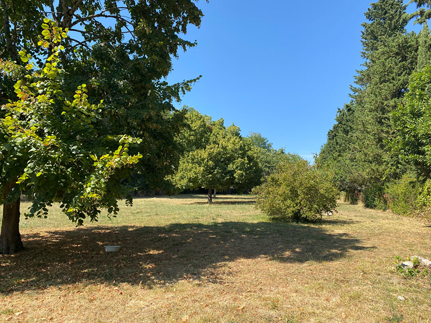 Terrain GARIDECH (31380) 1000.00 m&sup2;