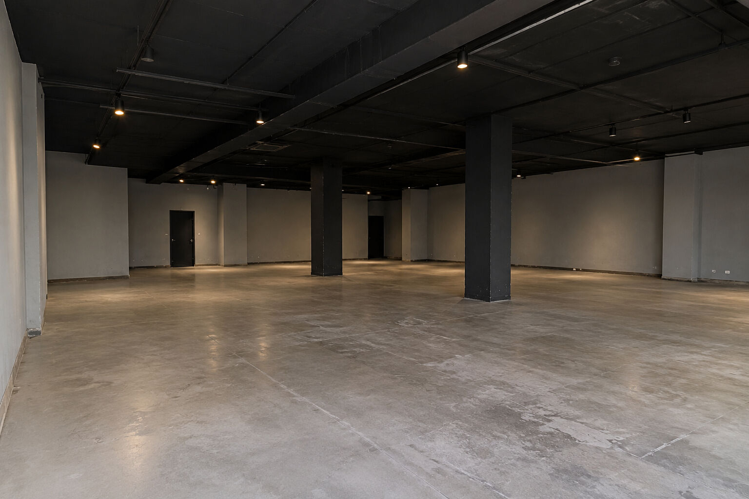 Local d'activit&eacute; TOULOUSE (31500) 250.00 m&sup2;