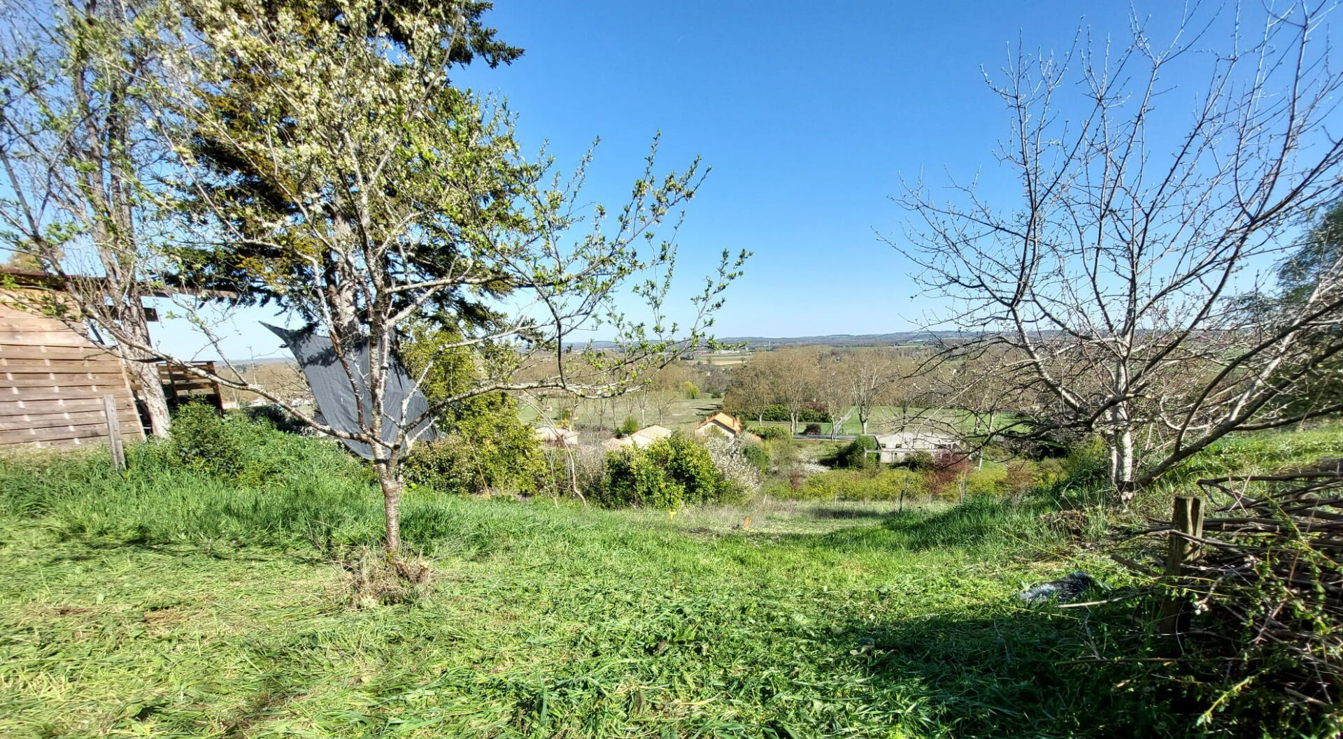 Terrain RABASTENS (81800) 1252.00 m&sup2;