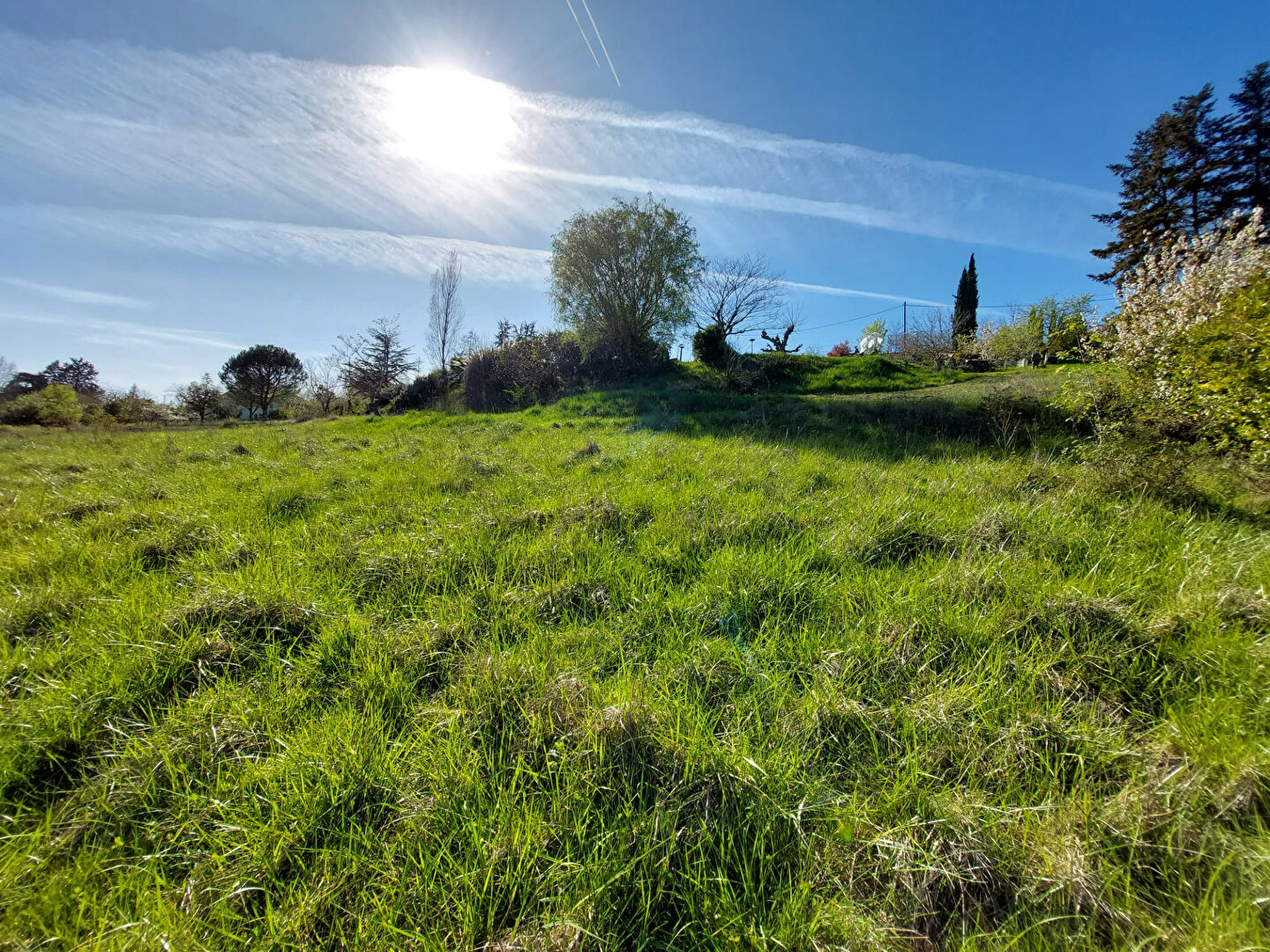 Terrain RABASTENS (81800) 1252.00 m&sup2;