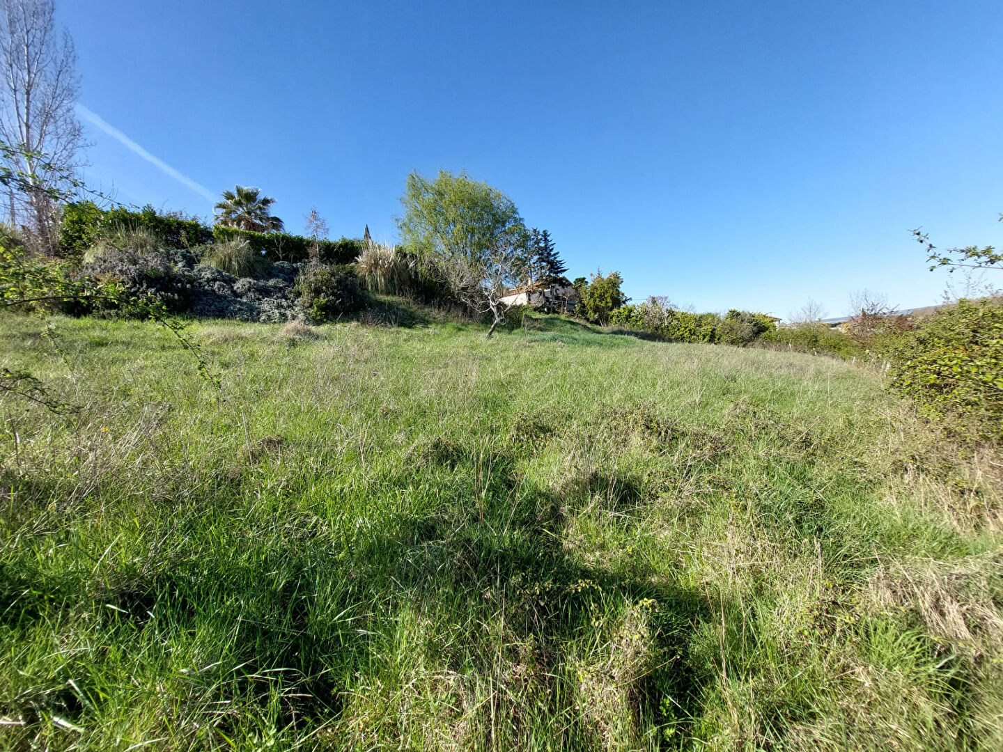 Terrain RABASTENS (81800) 1252.00 m&sup2;