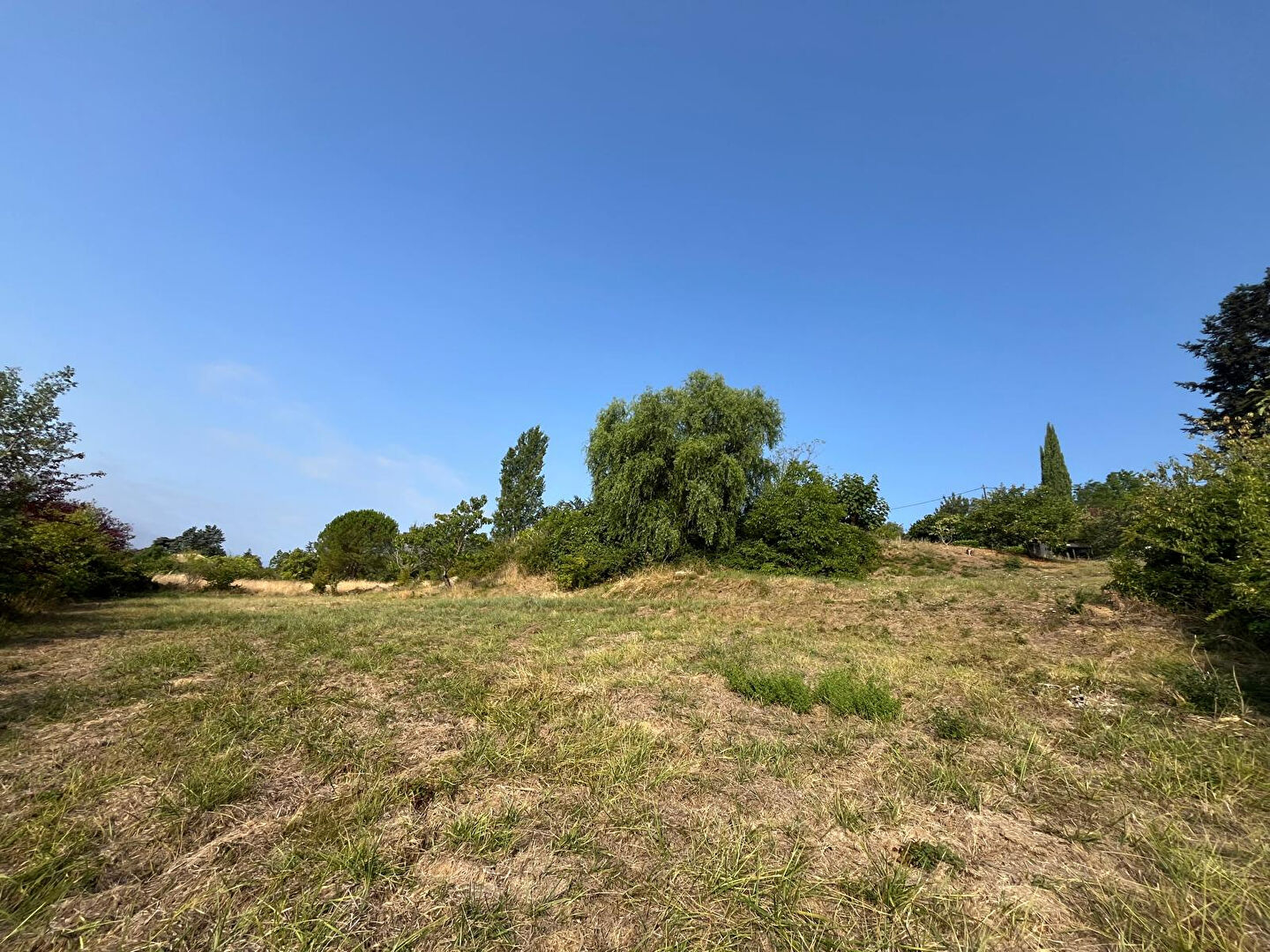 Terrain RABASTENS (81800) 1252.00 m&sup2;