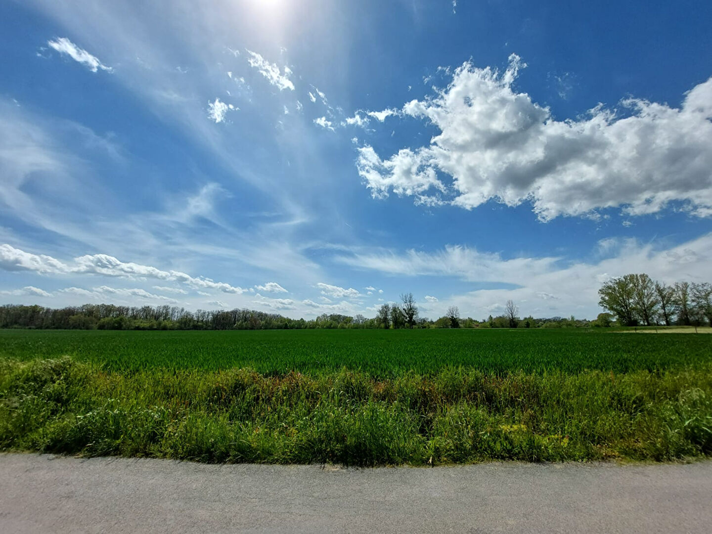 Terrain BRENS (81600) 978.00 m²