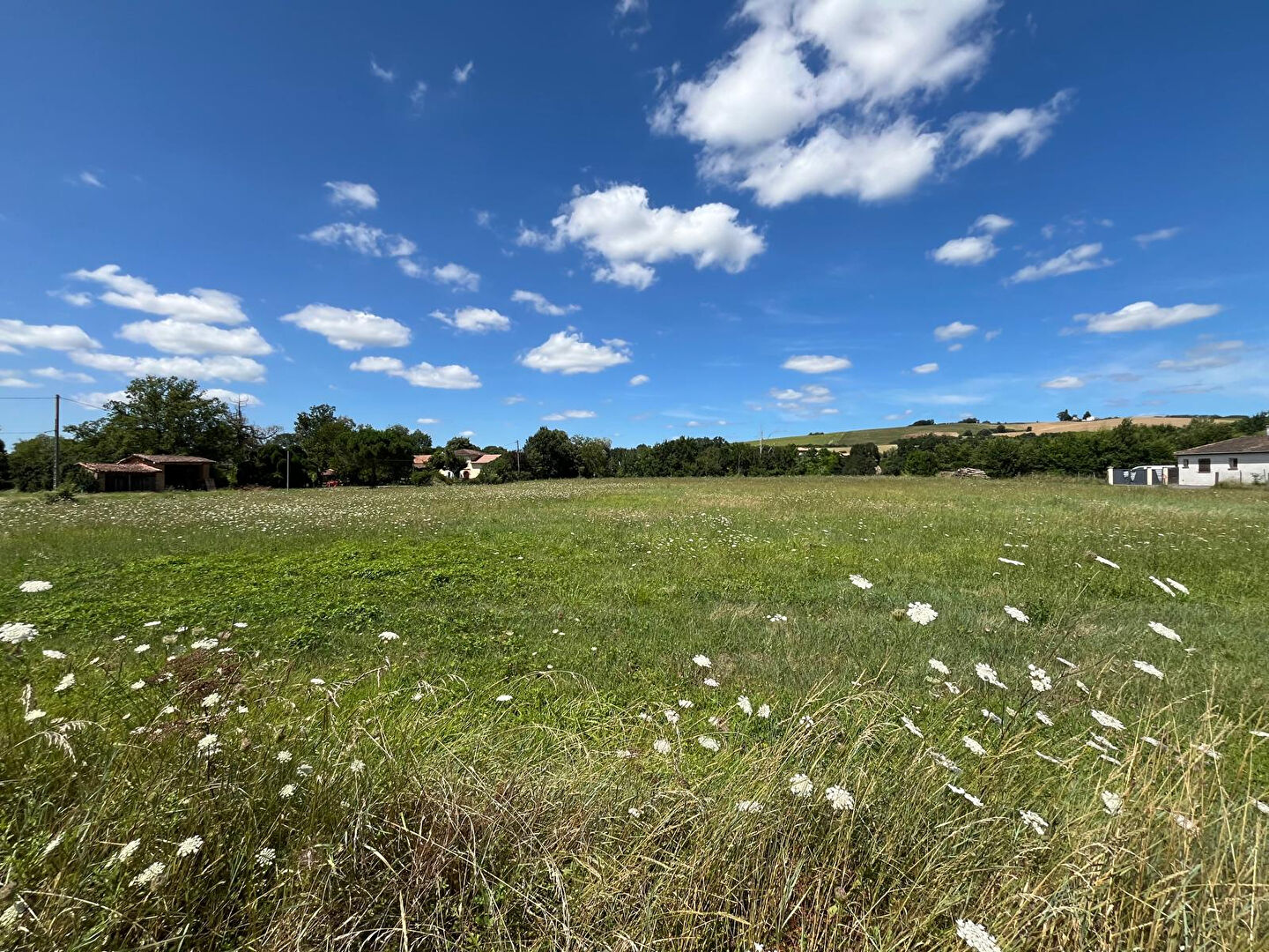 Terrain BESSIERES (31660) 814.00 m&sup2;