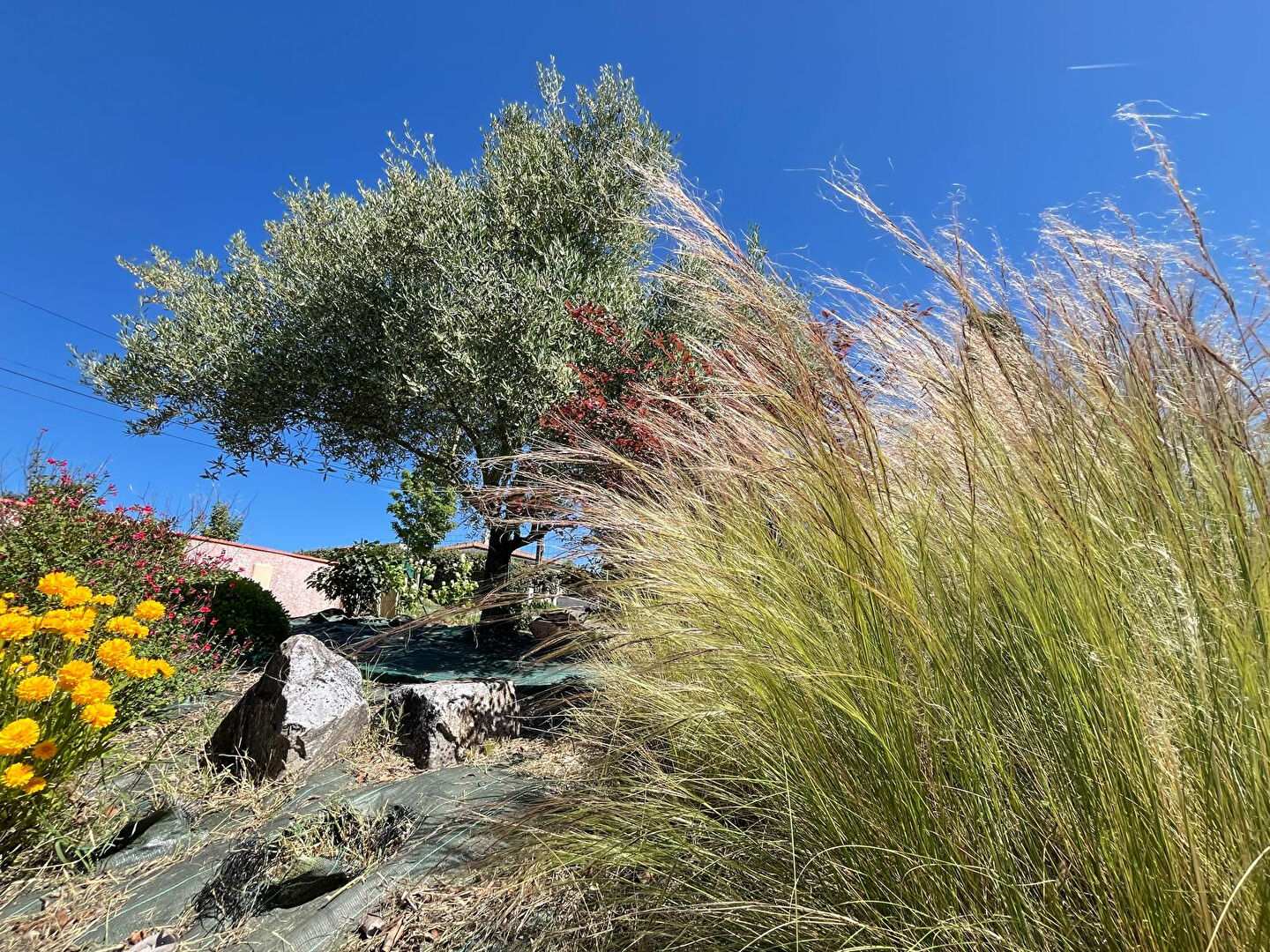 Maison SAINT SULPICE LA POINTE (81370) 5 pièces 110.34 m²