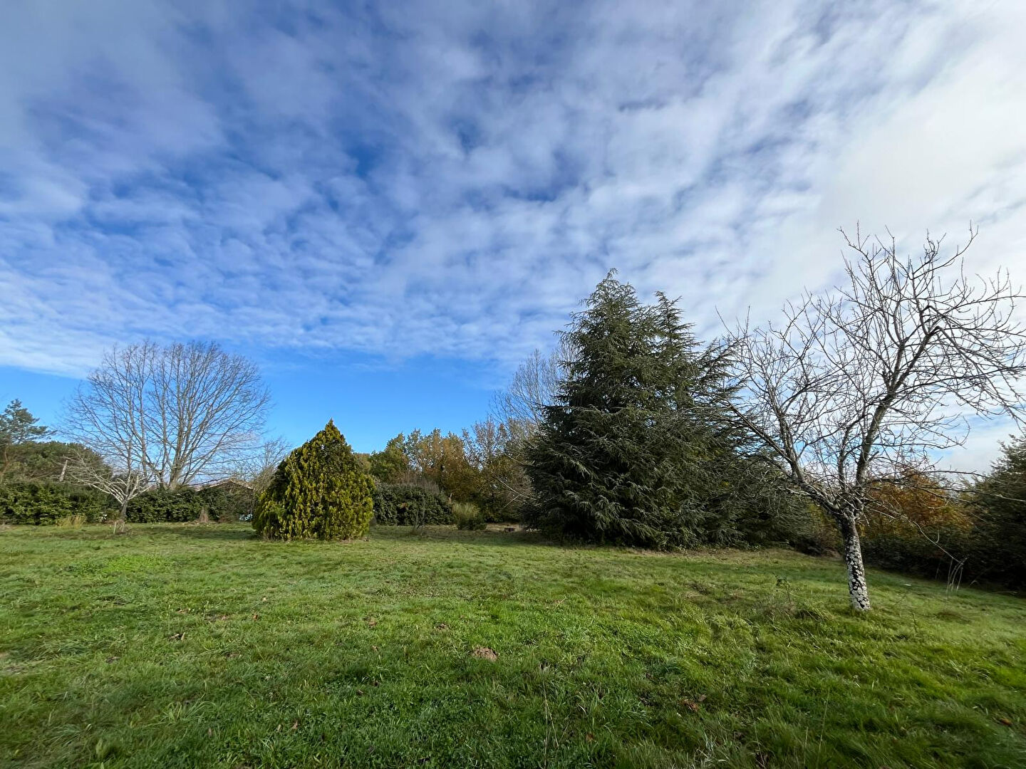 Terrain GRAZAC (81800) 3500.00 m²