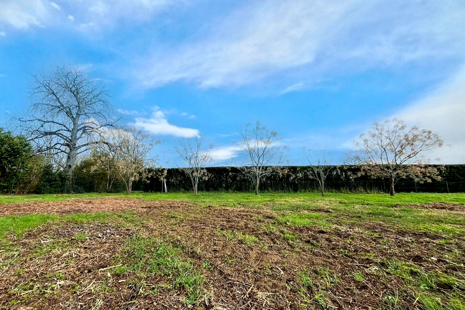 Terrain BRENS (81600) 978.00 m&sup2;