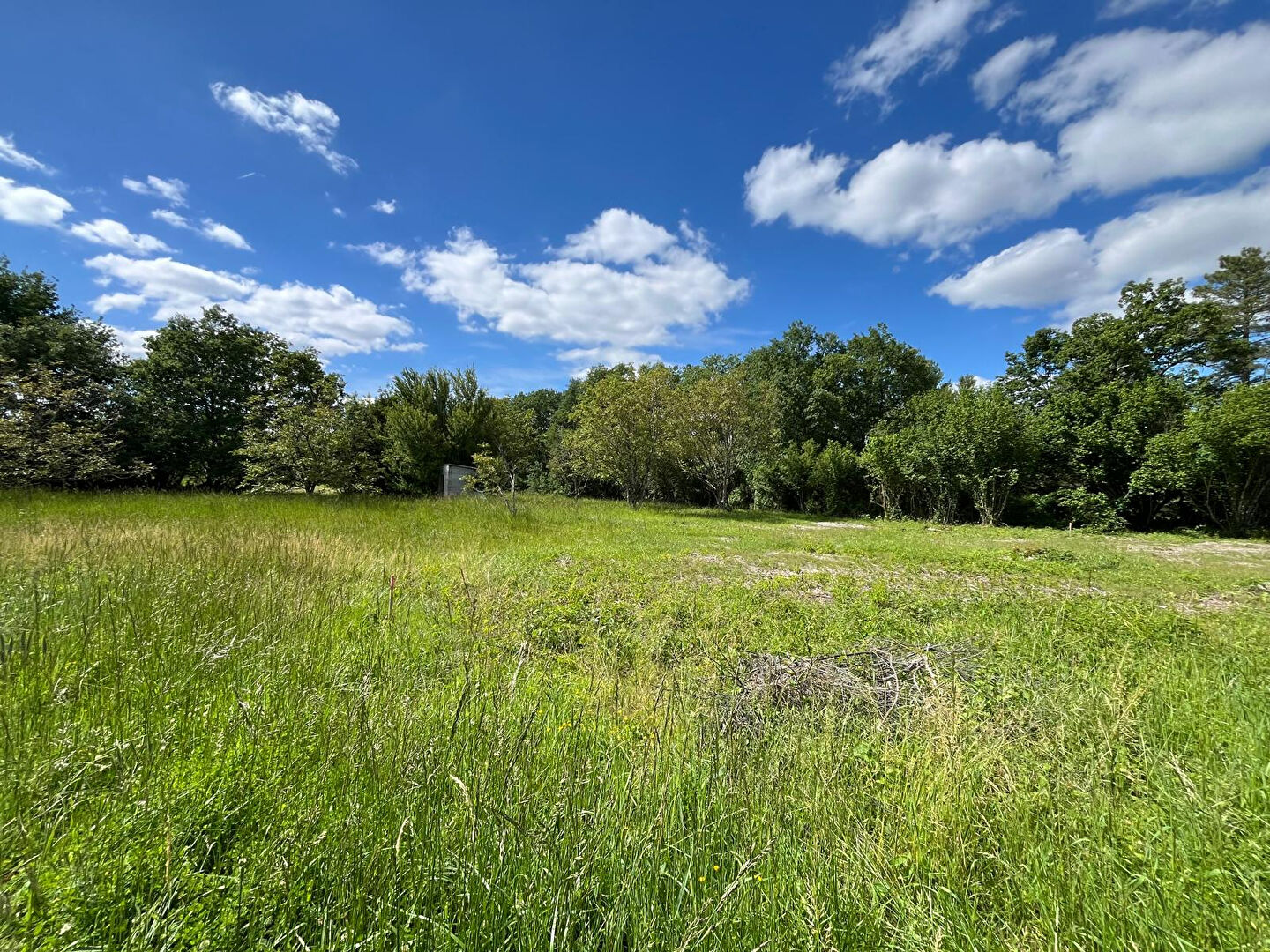Terrain MONTDURAUSSE (81630) 3577.00 m&sup2;