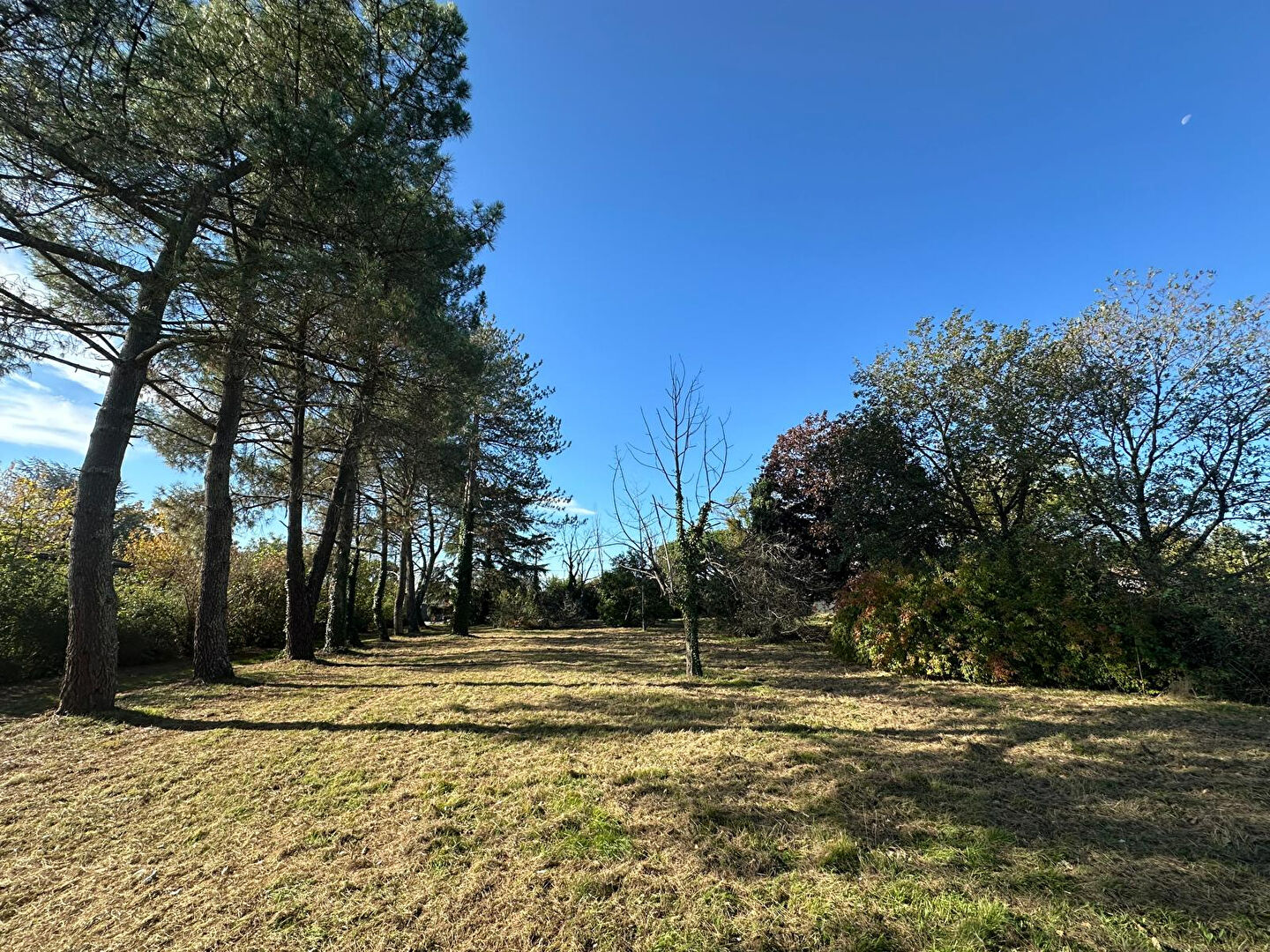 Terrain BUZET SUR TARN (31660) 737.00 m&sup2;