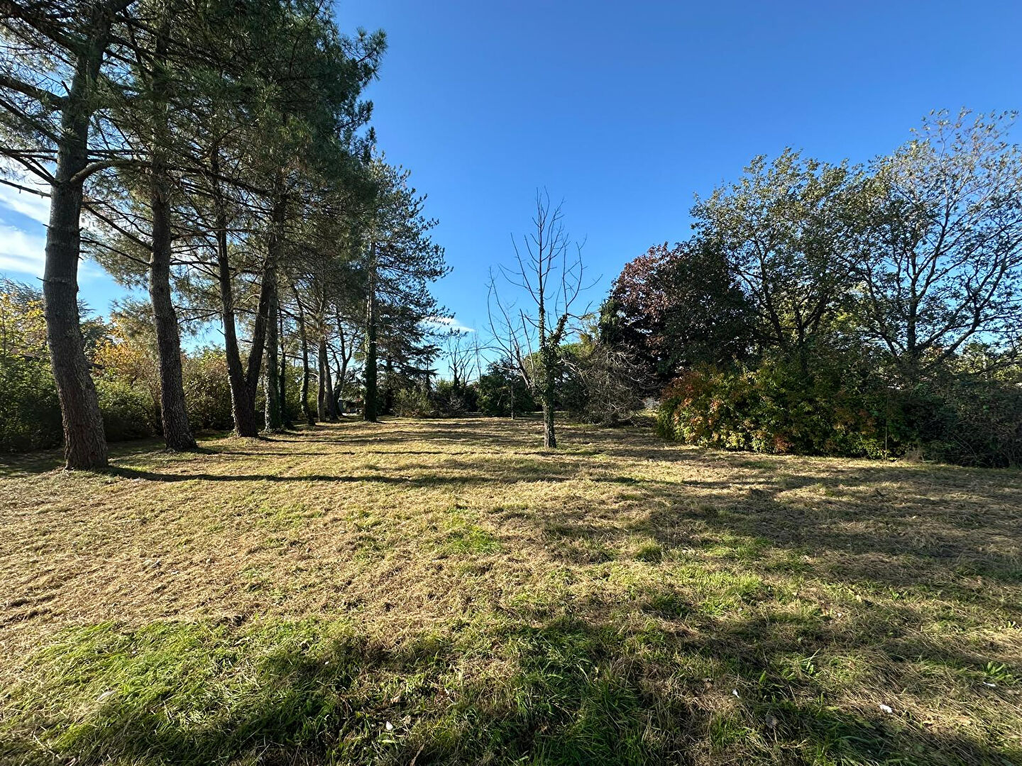 Terrain BUZET SUR TARN (31660) 737.00 m&sup2;