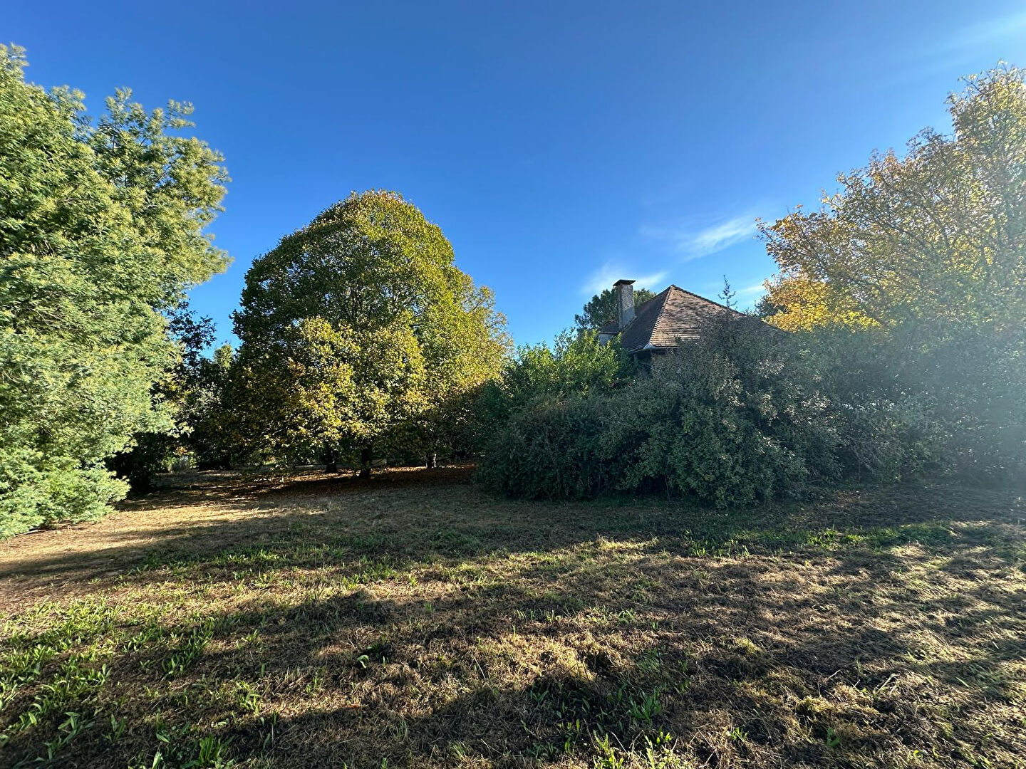 Terrain BUZET SUR TARN (31660) 1312.00 m&sup2;